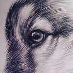 Catherine Desbiens - @catherined_art - Instagram