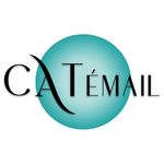 Catherine Vérin / Émaux d'art - @catemail_officiel - Instagram