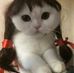 Catherine Davalos - Facebook
