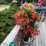 Catherine Deese - @deese_catherine - Instagram