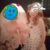 Catherine Dempsey - Facebook