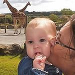 Catherine Denton - @catedenton - Instagram