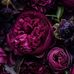 Katherine Destefano - Facebook