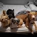 Catherine Dickerson - Facebook