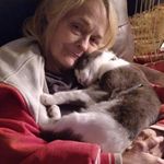 Catherine Dillon - @catherinedillon411 - Instagram