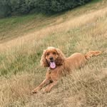 Catherine Dodson - @catherine_dodson - Instagram