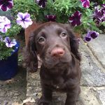 Catherine Dowler - @catherine.dowler - Instagram