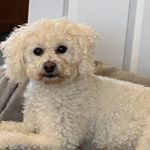 Catherine Dowler - @catherinedowler11 - Instagram