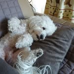 Catherine DUC - @bichcounou - Instagram
