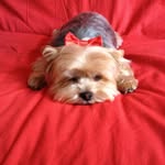 Catherine - @catherine_ducassou - Instagram