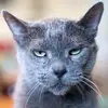 catherineduyck308 - @catherineduck308 - TikTok