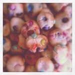 Catherine Duffield - @cduffield - Instagram