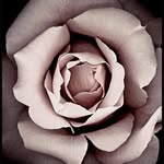 Catherine DULAC - @_cathzen_ - Instagram