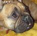 Catherine Duluc - Facebook