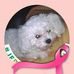Cathy Duluc - Facebook