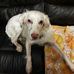 Cathy Duluc - Facebook