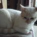 Catherine Dupre - Facebook