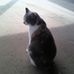Cat Durbin - Facebook