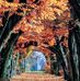 Cathy Durbin - Facebook