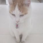Catherine Dwyer - @catherine_dwyer - Instagram