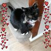Catherine Dwyer - @user91561384 - TikTok