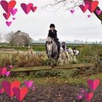 Catherine Earley - @cbolandearley - Instagram