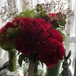 Catherine Earnshaw - @catherineearnshaw1 - Instagram