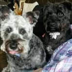 Catherine Eastham - Facebook
