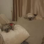 Catherine Eastham - Facebook