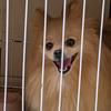 Catherine.Eberhardt - @catherineeberhardtjwzjtz - TikTok