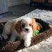 Cathy Ebersole - Facebook
