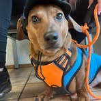 Katherine Echols - Facebook