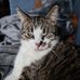 Catherine Eeckman - Facebook