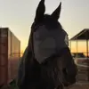Catherine Edwards - @catherineedwards15 - TikTok