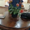 catherineellison7 - @catherineellison7 - TikTok