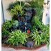 Catherine Engel - Facebook