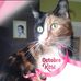 Catherine Engel - Facebook