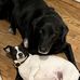 Catherine Enright - Facebook