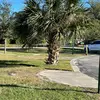 enrightcath - @catherine.enright6 - TikTok