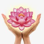 Catherine Everett - @wellnesswithtapping - Instagram