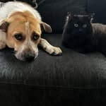 Catherine Farland - @powergrl4eva - Instagram