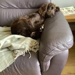 Catherine M Farrington - @cathmf18 - Instagram