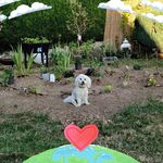 Catherine Guissant Ferrand - @020721baby - Instagram