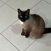 Catherine Frame - Facebook
