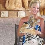 Catherine Gardner - @catherinegardner1961 - Instagram