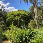 Catherine_gardner - @catherine_gardner279 - Instagram