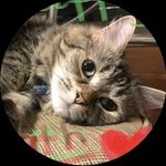 Catherine Netherland Goddard - @catherine.n.goddard1 - Instagram