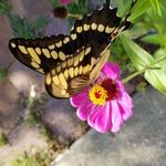 Catherine Goss - @catherine.goss.77 - Instagram