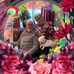 Catherine Goss - Facebook