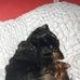 Catherine Granger - Facebook